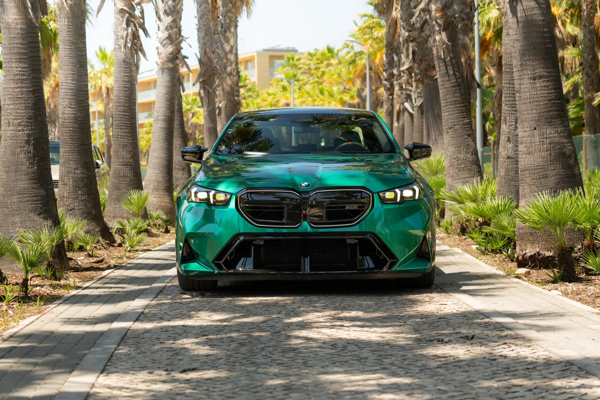 rev bmw m5 g90 im1
