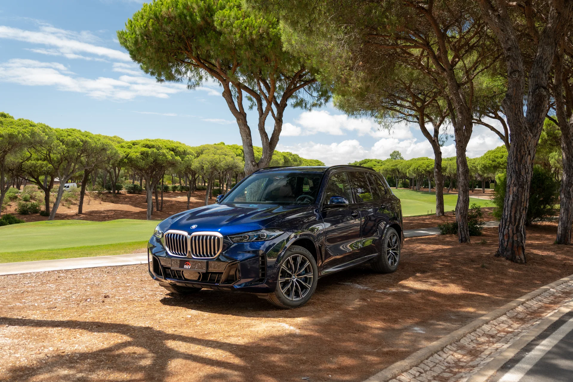 REV bmw x5 50e img1